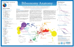BibSonomy Anatomy